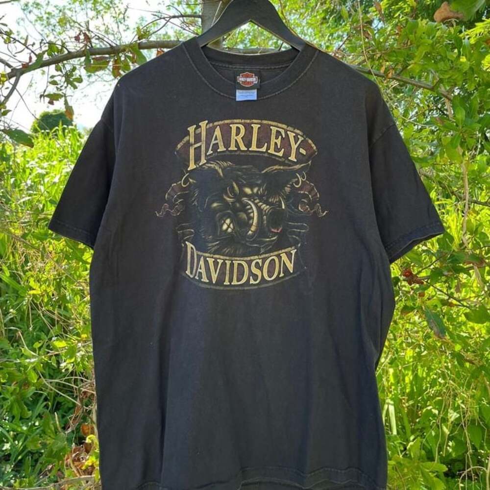 2009 Harley Davidson Hog Shirt